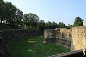 Cetatea Suceava