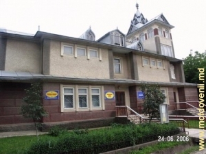 Muzeul din satul Pelinia