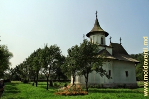 Biserica "Sfînta Cruce" din Pătrăuţi