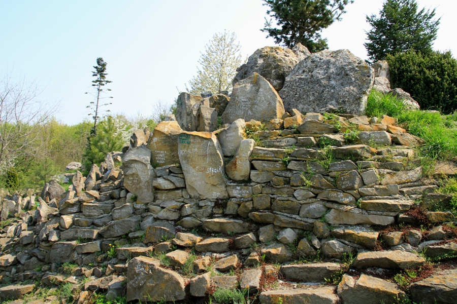 Ботанический сад кишинев фото