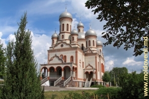 Catedrala de la Drochia, vedere din partea laterală