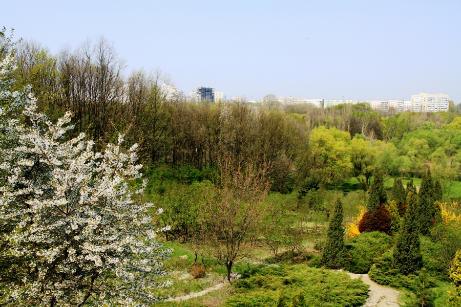 Ботанический сад кишинев фото