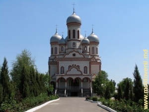 Catedrala de la Drochia, plan îndepărtat