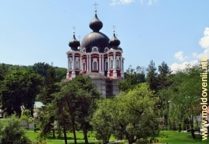 Mănăstirea Curchi