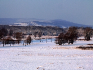 Vedere spre Codru de lîngă satul Bahmut iarna