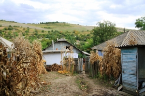 Gospodărie ţărănească, satul Codru