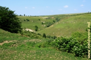 Верхняя часть заповедного ущелья у села Татарэука Веке