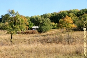 Осенний пейзаж в селе Веверица, октябрь 2011
