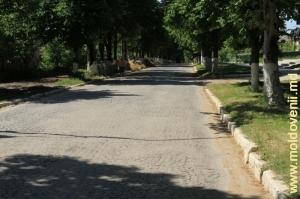 Drum vechi pietruit din or. Făleşti